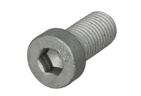 Болт М12*1.5*25 бортової передачі MB ACTROS, AXOR