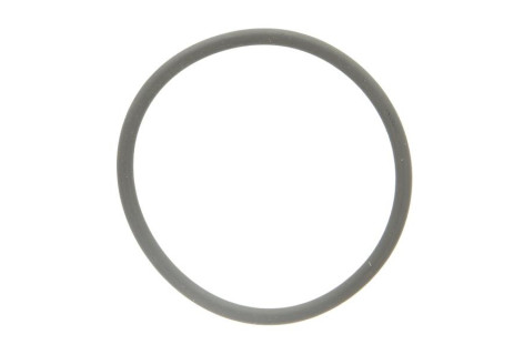 Ущільнювач ПНВТ DMCI DAF XF105, XF95, CF85, CF75 середній